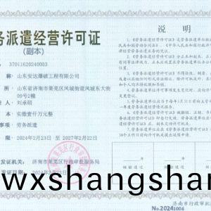 劳务派遣经营许可证